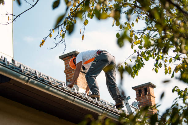 Best Sealant for Roof  in Kalaheo, HI