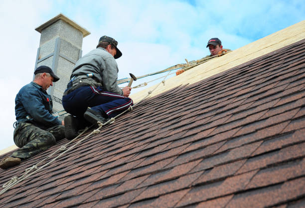 Best Best Roofing Contractors  in Kalaheo, HI